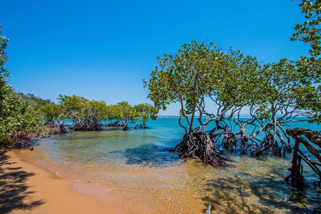 セブンティーン・セブンティ The Gallery - Beach Hideaway In Stunning 1770ヴィラ エクステリア 写真